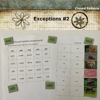 Preview of Closed Syllable Exceptions #2