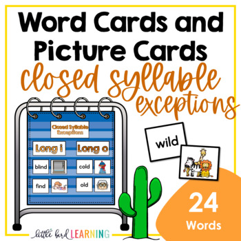 Preview of Closed Syllable Exceptions - Word Cards and Picture Cards Set