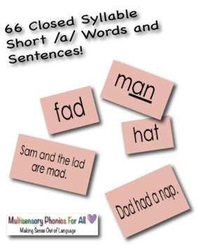 Preview of Closed Syllable Short a Words and Sentences Google Slides