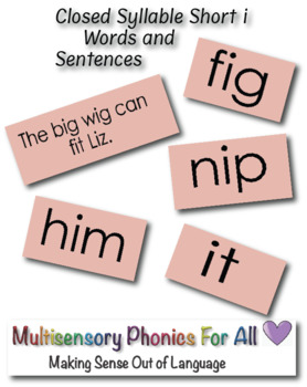 Preview of Closed Syllable Short i Words and Sentences Google Slides