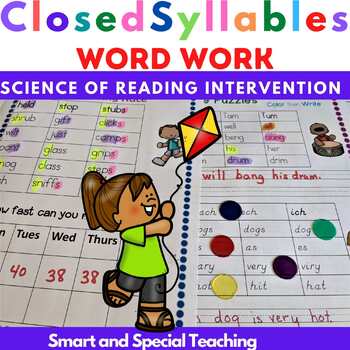 Preview of Closed Syllable Word Work Worksheets Orton Gillingham RTI
