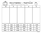 Closed Syllables -  Short Vowel Sort - Sorting Worksheet