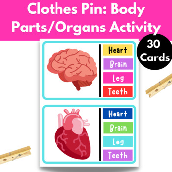 Preview of Clothespin Activity: Body Parts & Organs Labeling Preschool/Prek Science