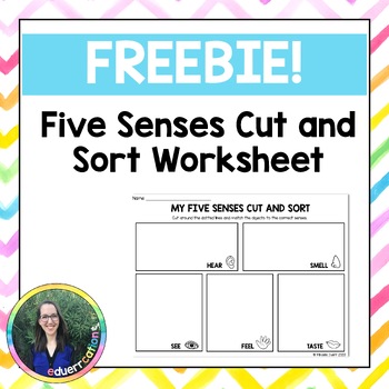 Preview of Five Senses Cut and Sort Worksheet
