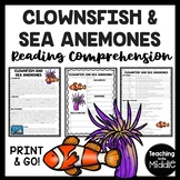 Clownfish and Sea Anemones Reading Comprehension Symbiotic