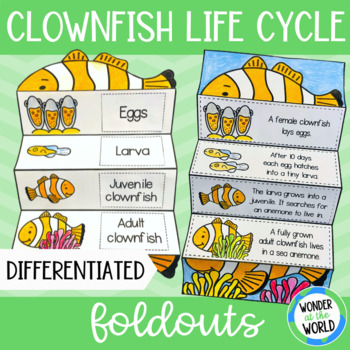 Preview of Life cycle of a clownfish fish foldable sequencing activity cut and paste
