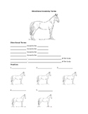 Equine/Animal/Agriscience Cloze Notes- Directional Anatomy