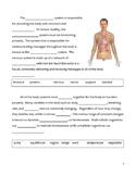 Middle School Biology Cloze Worksheet - Human Body Systems