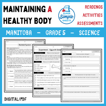 Preview of Manitoba Grade 5 Science - Cluster 1 - Maintaining a Healthy Body