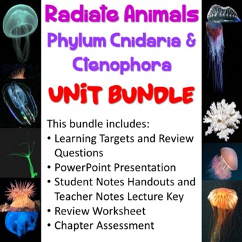 Preview of Cnidaria & Ctenophora (Radiate Animals) Unit Bundle
