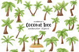 Coconut Palm Tree Watercolor Clipart, coconut tree, coconu