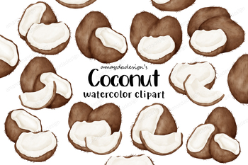 Preview of Coconut Watercolor Clipart, Coconut Clipart