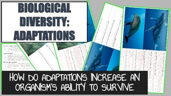 Preview of Adaptations (Diversity & Evolution) | ChatGPT-Friendly Activity