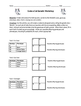 Preview of Code-a-Cat Genetic Workshop