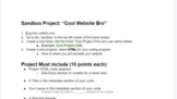 Codehs Project: "Cool Website Bro" (HTML)