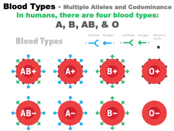 what blood type is an example of incomplete dominance