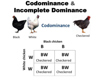 complete dominance definition biology quizlet