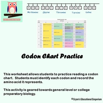 Codon Chart Worksheet