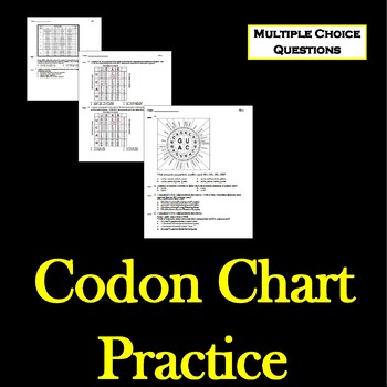 Codon Chart Practice by Brainiac Teacher | Teachers Pay Teachers