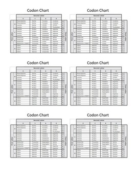 Preview of Codon Chart Print Out