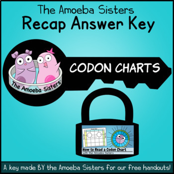 Codon Chart Video Companion Answer Key by The Amoeba Sisters (Answer Key)