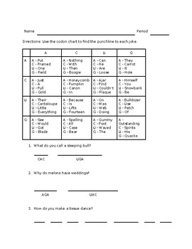 Preview of Codon Jokes: Version 1 + Answer Key