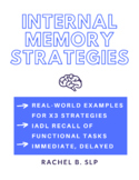 Cognitive Therapy; Internal Memory Strategies; Adult Speec