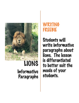 Preview of Writing Informative Paragraphs about Lions