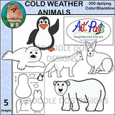 Cold Weather Animals