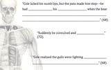 Cole Matthew's Injuries - Chapter 8 Activity (Touching Spi