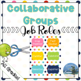 Collaborative Group Roles