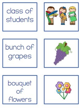 collective nouns 2nd grade grammar mini lesson by first grade buddies