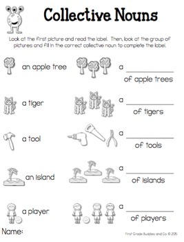 collective nouns 2nd grade grammar mini lesson by first grade buddies