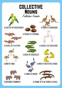 Collective Noun Posters: Australian Animals by Education Resource Hub