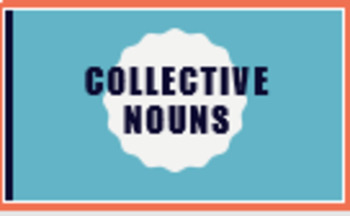 Preview of Collective Noun PowerPoint