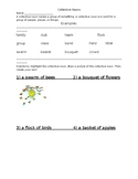 Collective Noun Worksheet Practice