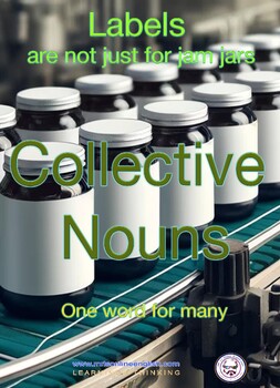 Preview of Collective Nouns Booklet