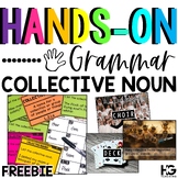 Collective Nouns FREEBIE Hands on Grammar Activities, Task