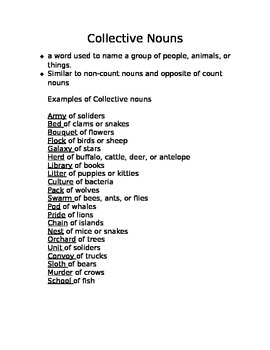 Collective Nouns Notes By Fabulous Farris Flamingos Tpt