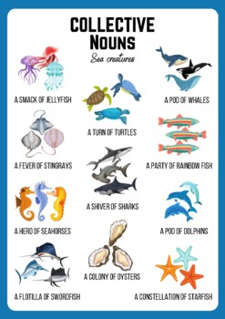 Sea Creature Posters Teaching Resources | TPT