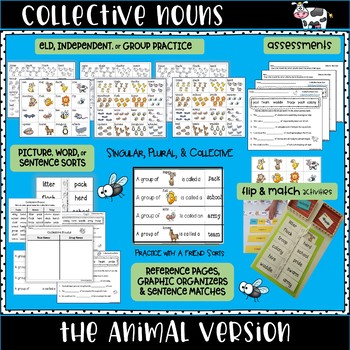 Collective Nouns The Animal Version by Second Grade Cuties | TpT