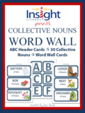 Collective Nouns Word Wall Cards