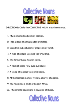 collective nouns worksheet by bret talley dachshund educational resources