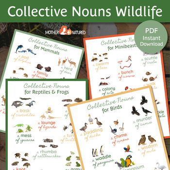 Preview of Collective Nouns for Animals | Collective Nouns Poster | Collective Nouns birds