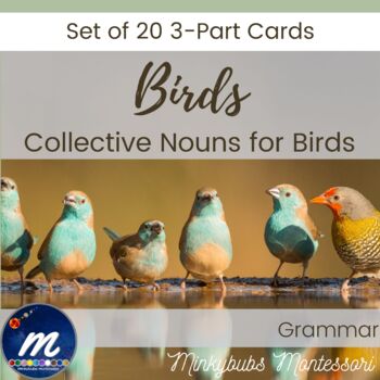 Preview of Collective Nouns for Birds 3-Part Cards Montessori Grammar English Fun