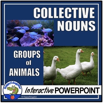 Collective Nouns of Animal Groups Interactive PowerPoint by HappyEdugator