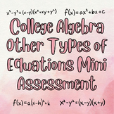 College Algebra Other Types of Equations Mini Assessment