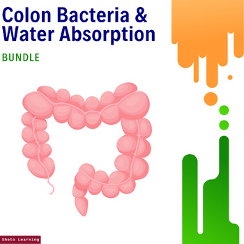 Preview of Colon Bacteria and Water Absorption Mastery Bundle: Explore, Learn, and Excel!