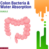 Colon Bacteria and Water Absorption Mastery Bundle: Explor