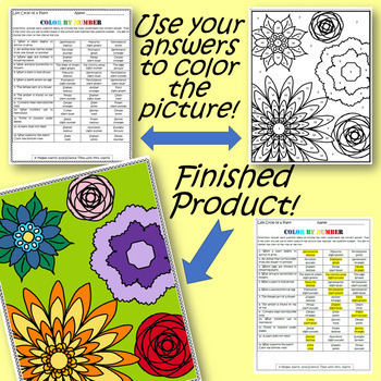 Color By Number Science Activity Bundle by Science Time with Mrs Harris